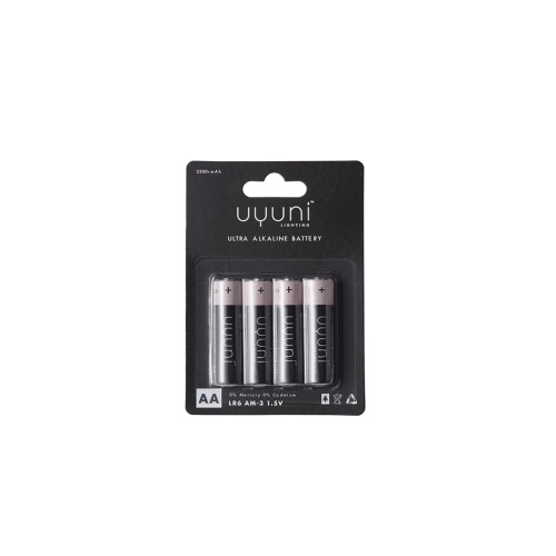 Batterier AA 4 - Pack från Uyuni
