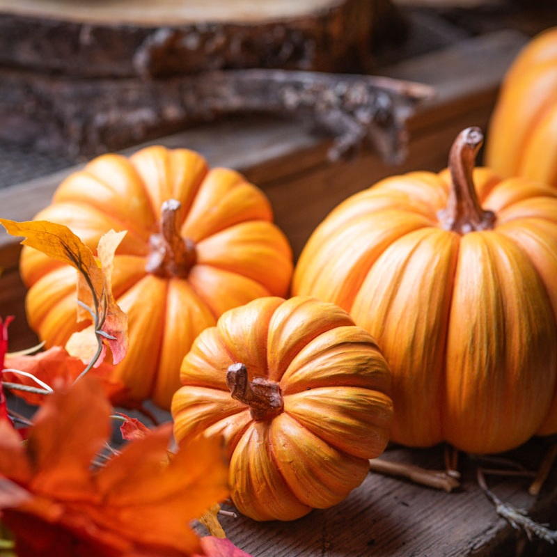 Pumpaserie – Stapelbara Orange Pumpor 