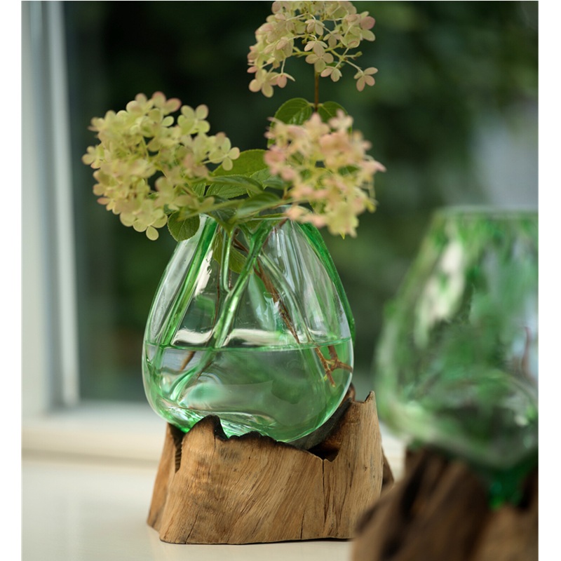 Glasskål på trädrot