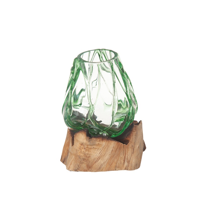 Glasskål på trädrot