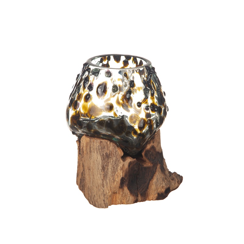 Glasskål på trädrot