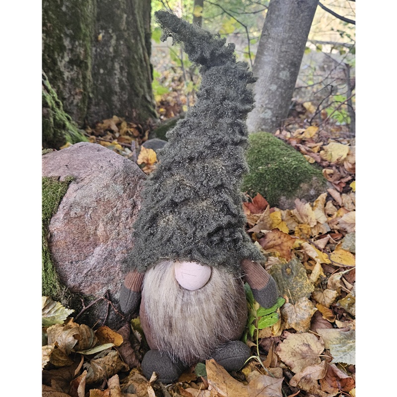 Skogstomten Vilgot 
