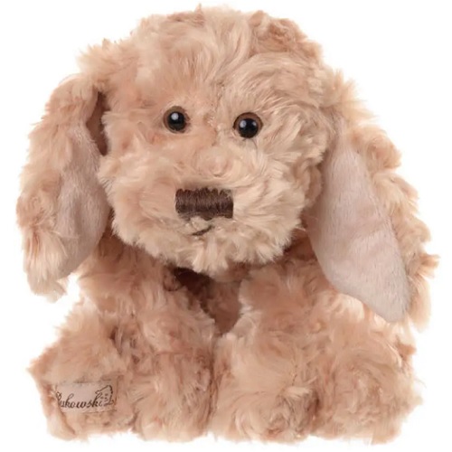 En liten mindre brun hund med söta svarta ögon och lilla lilla svansen.