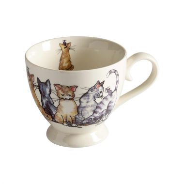 Temugg Katter