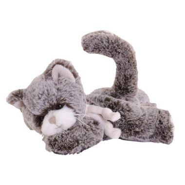 Katten Little Kitty