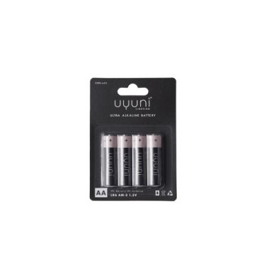 Batterier AA 4 - Pack från Uyuni