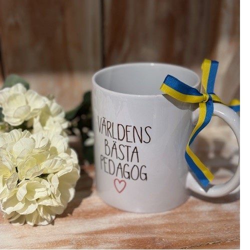 Mugg Bästa Pedagog